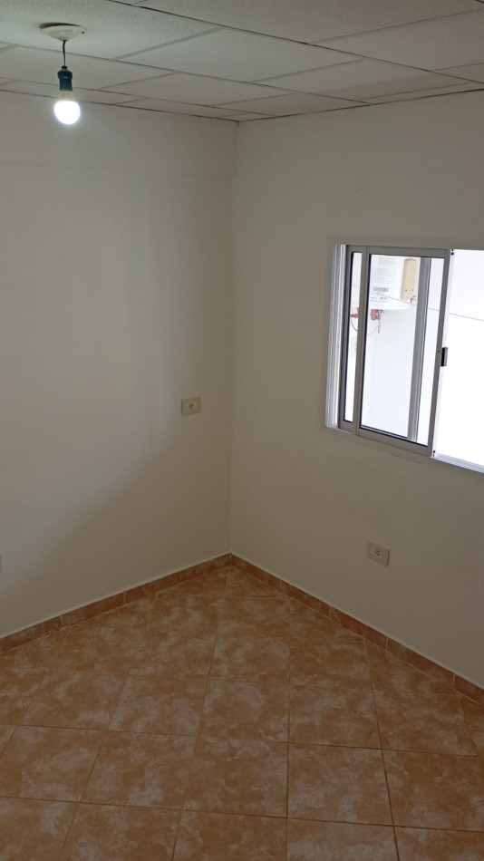 Arbo y blanco 1651, Resistencia