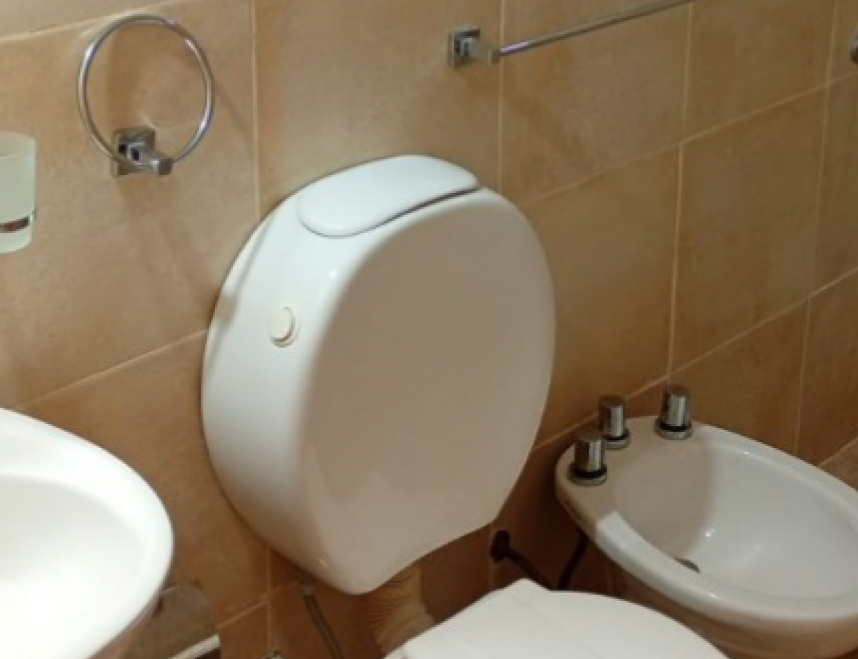 Arbo y blanco 1651, Resistencia