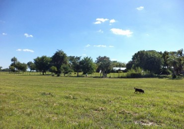 Amplio Terreno en Barrio Cerrado LA MANZA, a metros de Ruta 16